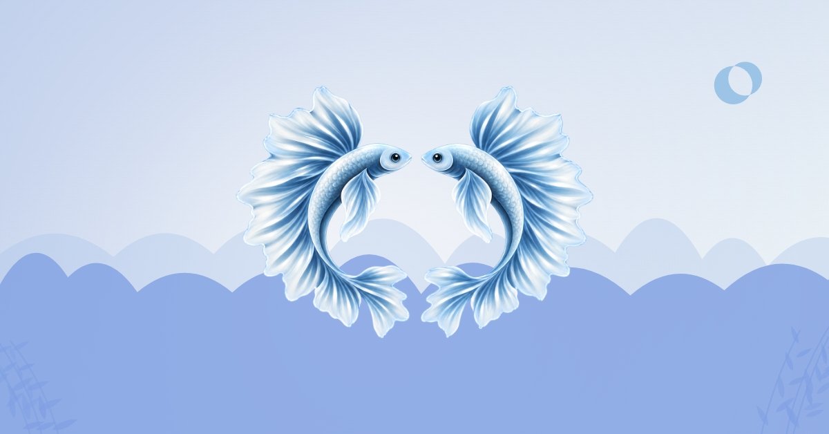 Pisces, Get Ready! One of These 3 Zodiac Signs May Finally Choose You, but Will You Still Want Them?